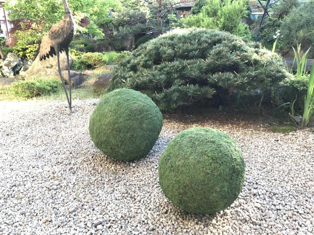 Hohoemino Kuyufu Tsuruya Tendō Exterior foto